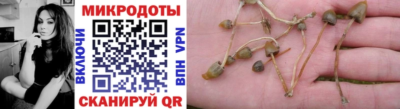 kraken ONION  даркнет сайт  Щёлкино  Псилоцибиновые грибы Psilocybine cubensis 