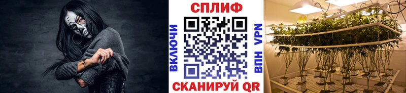 как найти наркотики  Щёлкино  Бошки марихуана сатива 